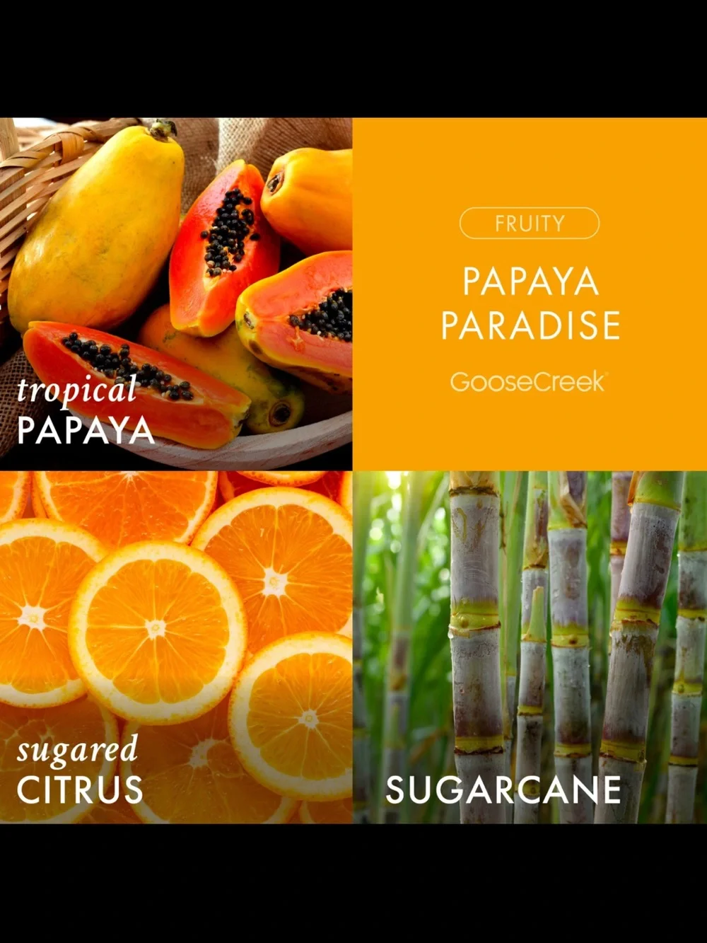 🧡 GC Papaya Paradise 3-Wick Candle NEW
